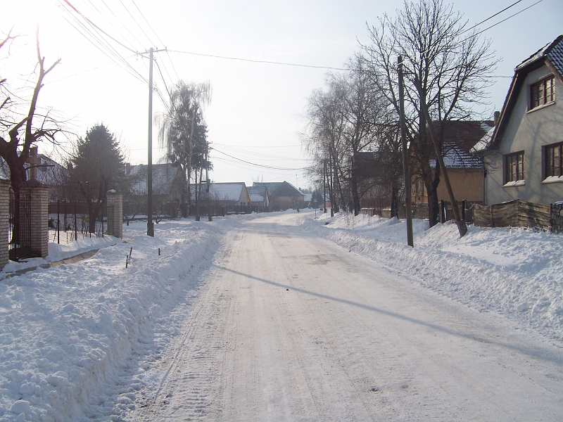 2012.02.09. 004.jpg